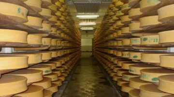 كهوف الجبنة المدفونة تحت الأرض: كيف تحفظ أمريكا منتجاتها لأشهر بدون تبريد؟